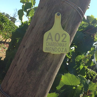 vinepost vinepost