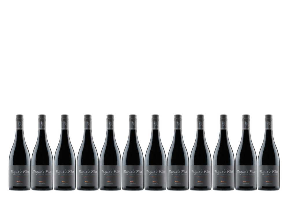 Shiraz 12pk Shiraz 12pk